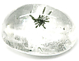 Quartz à Hedenbergite Quartz à Hedenbergite
