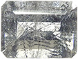 Quartz à Jamesonite Quartz à Jamesonite