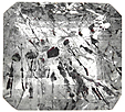 Quartz à Lepidocrocite Quartz à Lepidocrocite
