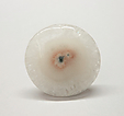 Quartz Solaire Quartz Solaire