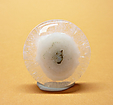 Quartz Solaire Quartz Solaire