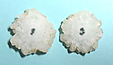 Quartz Solaire Quartz Solaire
