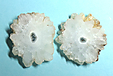 Quartz Solaire Quartz Solaire