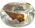 Quartz à Biotite Quartz à Biotite