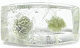 Quartz à Cookeite Quartz à Cookeite