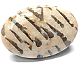 Quartz & Feldspath Quartz & Feldspath