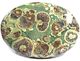 Rhyolite Rhyolite