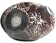 Rhyolite Œil d'Oiseau Rhyolite Œil d'Oiseau