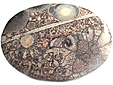 Rhyolite Œil d'Oiseau Rhyolite Œil d'Oiseau