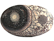Rhyolite Œil d'Oiseau Rhyolite Œil d'Oiseau