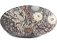 Rhyolite Œil d'Oiseau Rhyolite Œil d'Oiseau