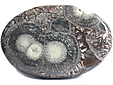 Rhyolite Œil d'Oiseau Rhyolite Œil d'Oiseau