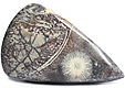 Rhyolite Œil d'Oiseau Rhyolite Œil d'Oiseau