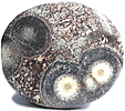 Rhyolite Œil d'Oiseau Rhyolite Œil d'Oiseau