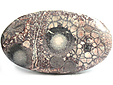 Rhyolite Œil d'Oiseau Rhyolite Œil d'Oiseau