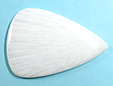 Scolecite Scolecite