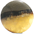 Septaria Septaria