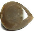 Silex Silex