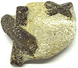 Staurolite Staurolite