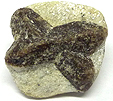 Staurolite Staurolite