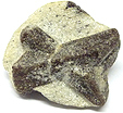 Staurolite Staurolite