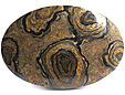 Stromatolite Stromatolite