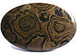 Stromatolite Stromatolite