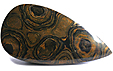 Stromatolite Stromatolite