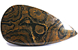 Stromatolite Stromatolite