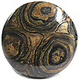 Stromatolite Stromatolite
