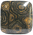 Stromatolite Stromatolite