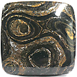 Stromatolite Stromatolite