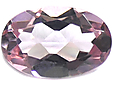 Topaze Rose Topaze Rose