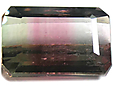 Tourmaline Bicolore Tourmaline Bicolore