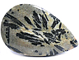 Tourmaline Noire ou Schorl Tourmaline Noire ou Schorl