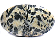 Tourmaline Noire ou Schorl Tourmaline Noire ou Schorl