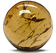 Tourmaline Pétrole Tourmaline Pétrole