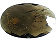 Tourmaline Pétrole Tourmaline Pétrole