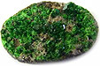 Grenat Uvarovite Grenat Uvarovite