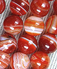 srdonyx bresil