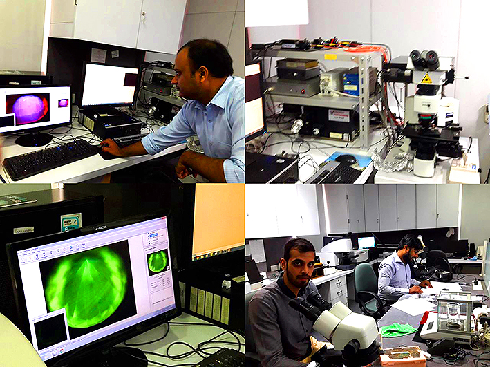 laboratoire de gemmologie de jaipur