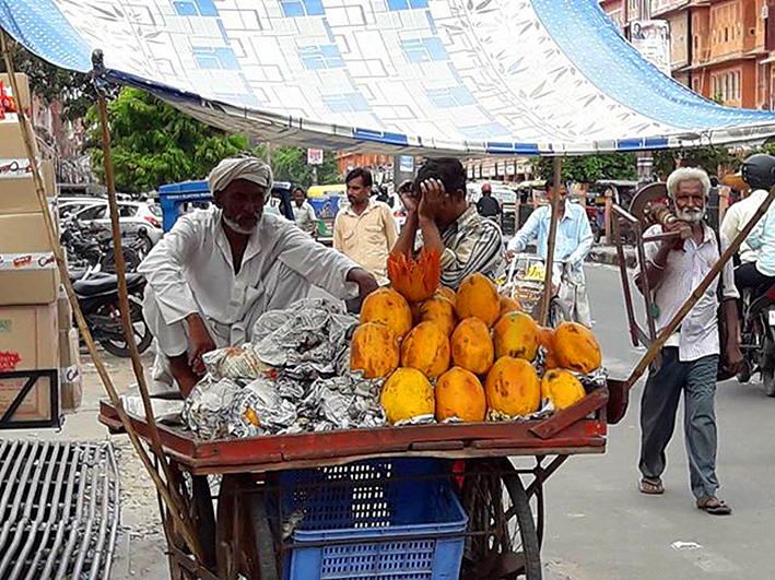 vie courante Jaipur