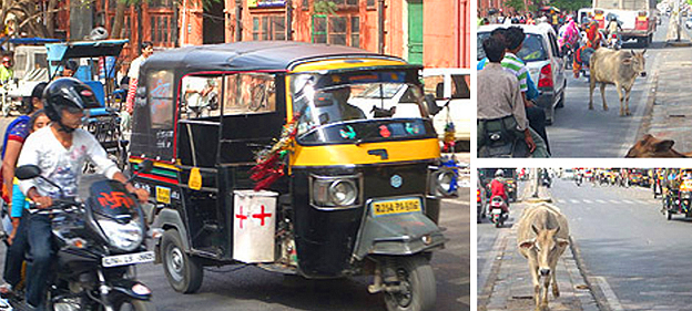 rickshaw touctouc Jaipur Inde