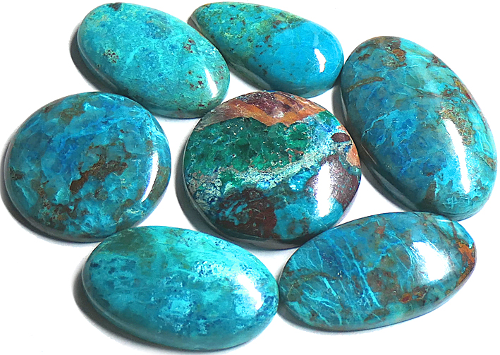 chrysocolle du congo