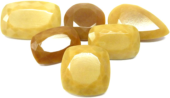 noix de corozo ou tagua du brésil