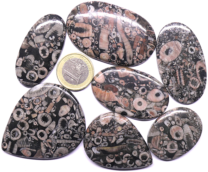 jaspe a crinoides