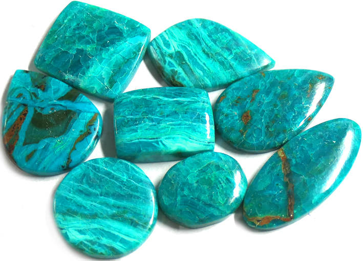 chrysocolle