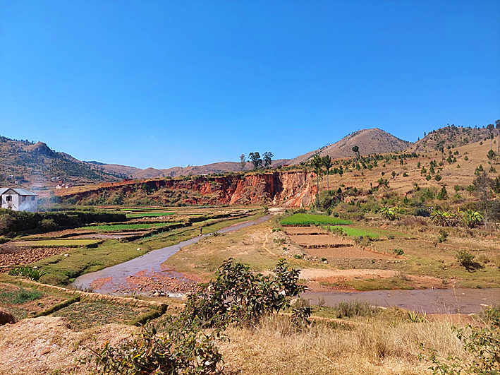 paysage malagasy