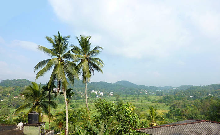 paysage sri lanka rathnapura