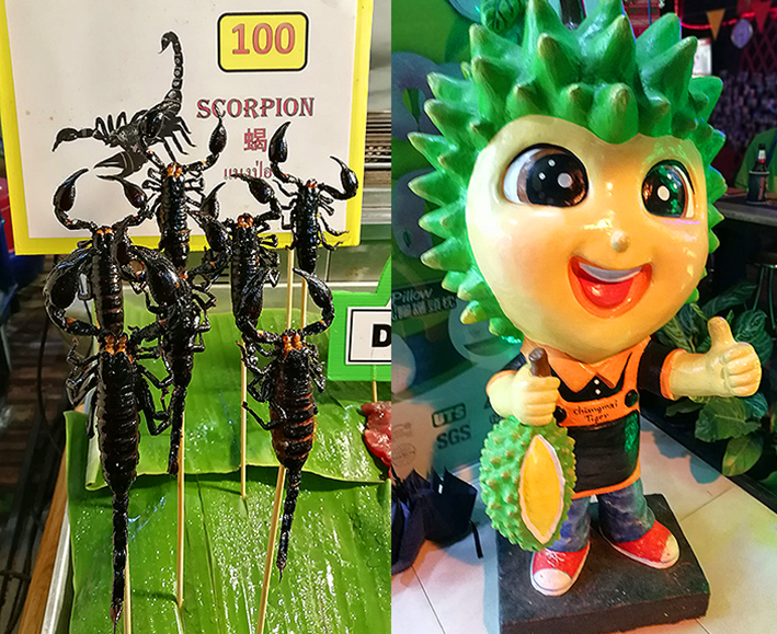 scorpion et durian en thailande